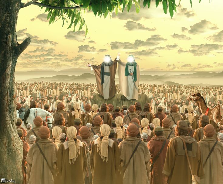 General Islamic Course